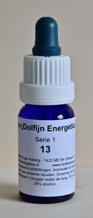 Wat zijn dolfijn energetica?